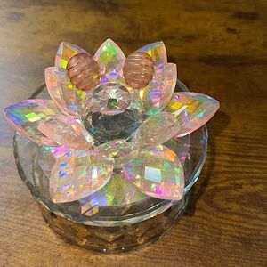 Beautiful vintage Trifari lucite earrings